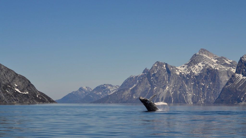 Photo by Klaus Eugenius - Visit Greenland