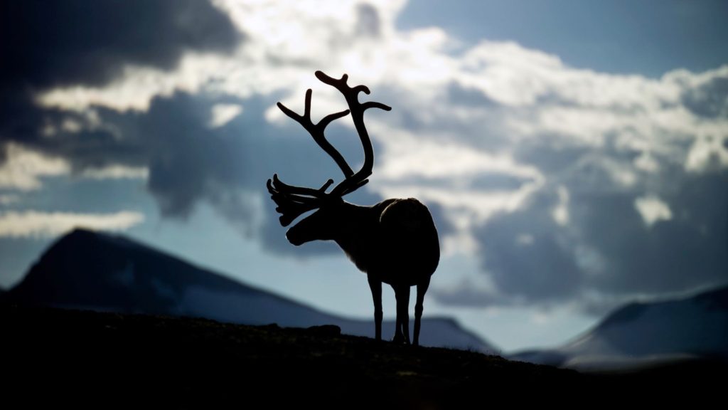 Photo by Peter Christensen - Visit Greenland