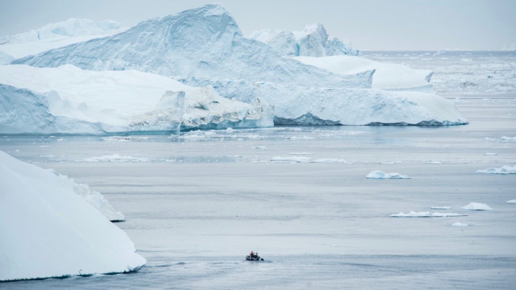 Foto af David D. Grant, Arctic Friend